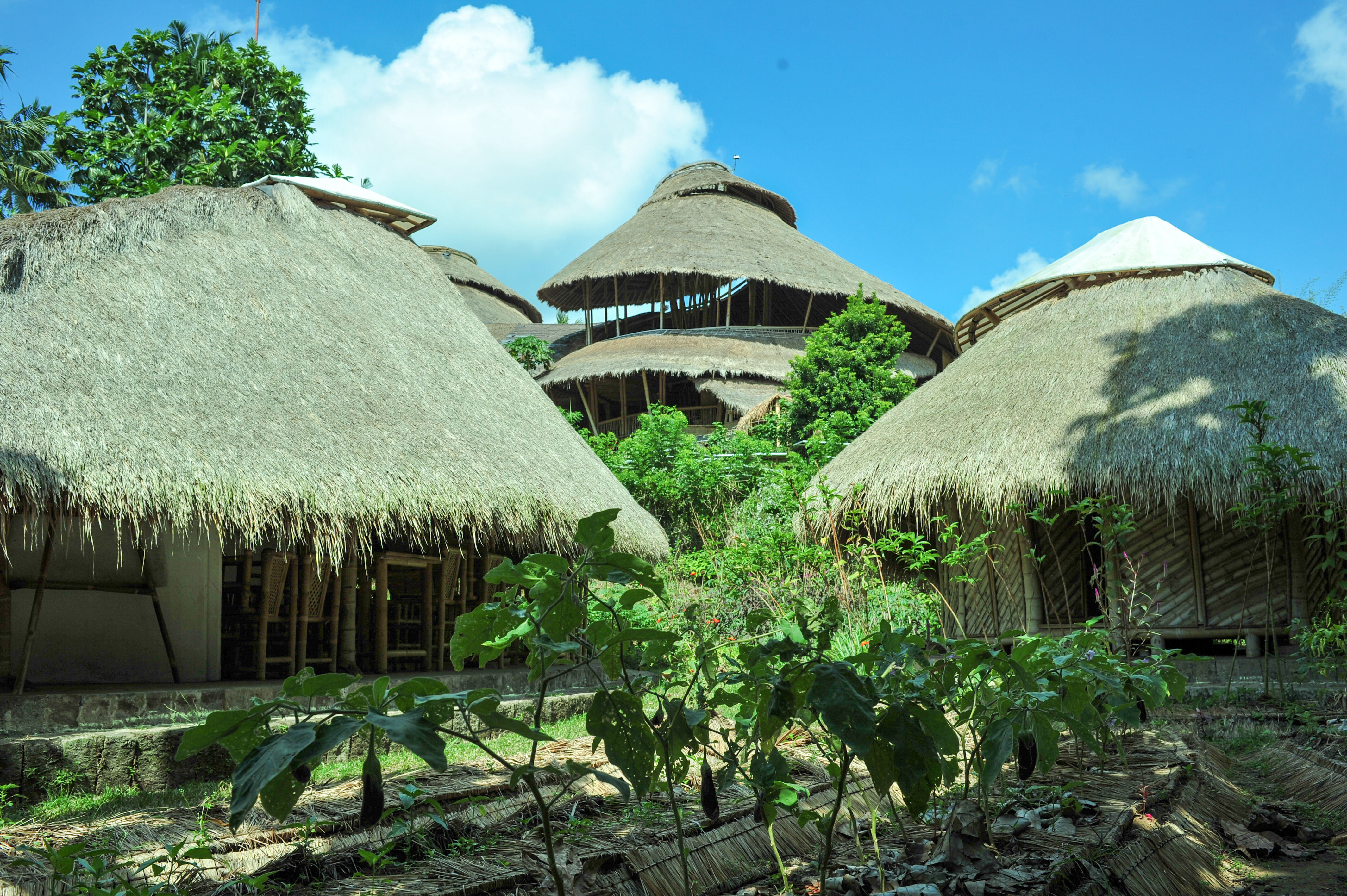 /Magazine/2018/yalda/Green School campus.jpg